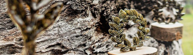 Liofyllo content image