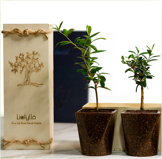 Liofyllo content image